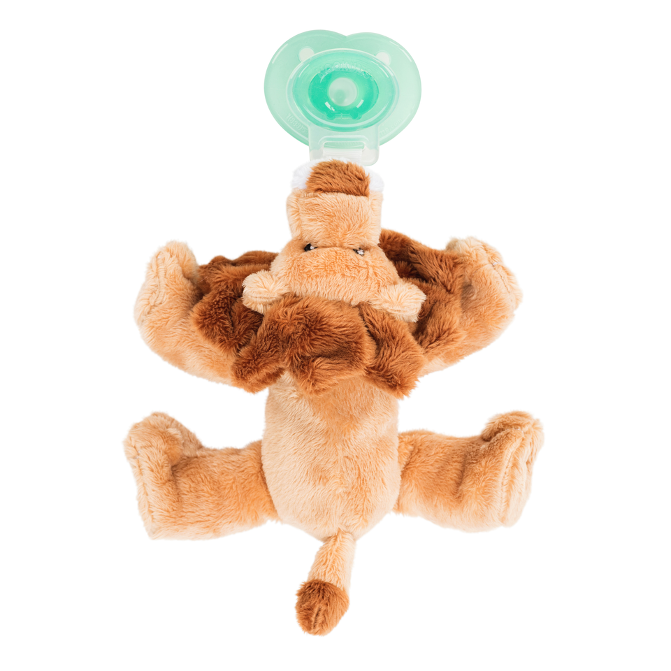 Paci-Plushies Buddies – Leo Lion