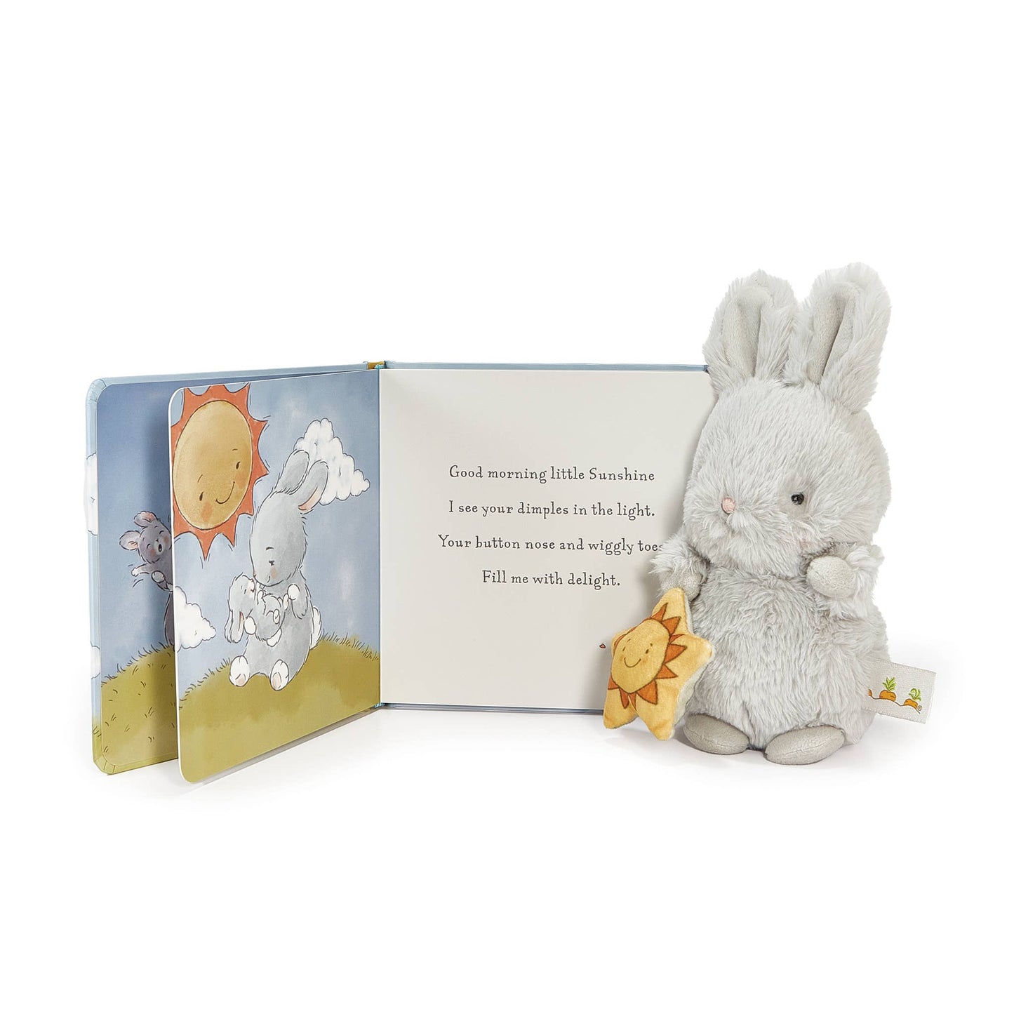 Little Sunshine Bloom Bunny Book Bundle