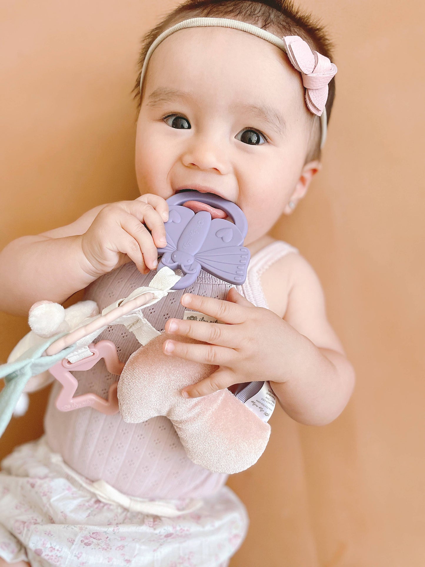 Bitzy Busy Ring™ Teething Activity Toy: Farm